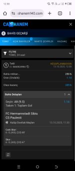 Screenshot_20251013-125840.jpg